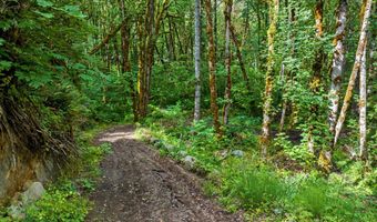 64601 E BRIGHTWOOD LOOP Rd, Brightwood, OR 97011