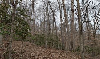 9999 Tip Top Rd, Beattyville, KY 41311