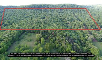 TBD CR 935, Alpena, AR 72611