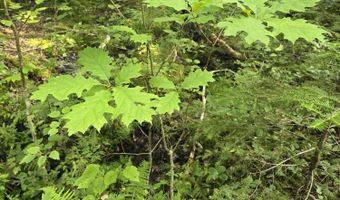 Cummings Lane, Acton, ME 04468