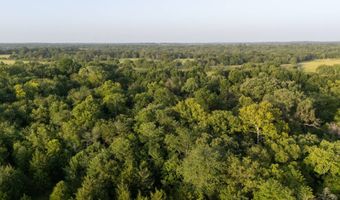 Tract 9 Highway 70, Bennington, OK 74723