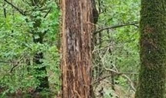 00001 Indian Hwy, Albion, OK 74521