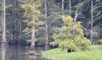 Bolivar Road, Benoit, MS 38725