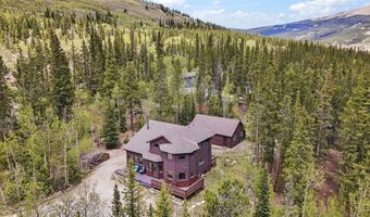 366 Quartzville Rd, Alma, CO 80420