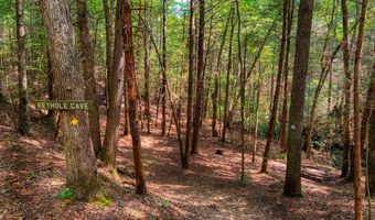 54 E Ridge Rd, Allardt, TN 38504