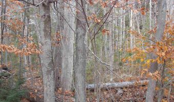 Lot 49 Mittenwald Strasse Road, Bartlett, NH 03812