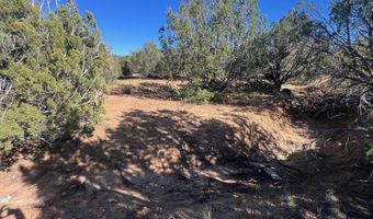 96 CR3041, Concho, AZ 85924