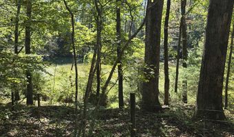 HURT HOLLOW RD, Banco, VA 22711