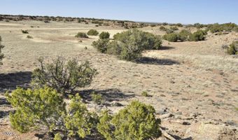 12 County Rd N8543, Concho, AZ 85924