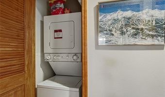 350 Four Oclock Rd D, Breckenridge, CO 80424