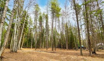 518 Eastman Dr, Bigfork, MT 59911