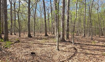 NEWASA LANE, Accokeek, MD 20607