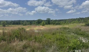 39207 St Hwy 59 Lot 28-02-09, Bay Minette, AL 36507