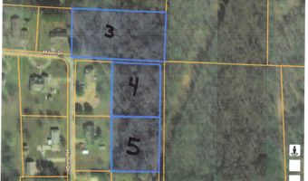 Martin Street lot 3 4 5, Ash Flat, AR 72513