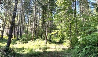 Tunnel Tract Parcel1, Banks, OR 97106