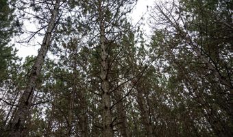 685 17th Dr Lot 6, Arkdale, WI 54613