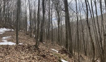 0 TBD Elleber Sods Rd, Bartow, WV 24920