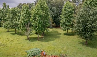 11511 Blair Rd, Apison, TN 37302