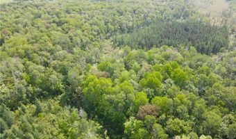 Tbd 359TH LN, Aitkin, MN 56431