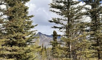 B005 Packsaddle Road, Chickaloon, AK 99674