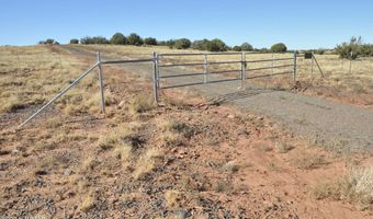 29 A N8478, Concho, AZ 85924