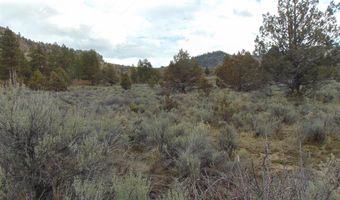 10733 Rattlesnake Ln, Unity, OR 97884