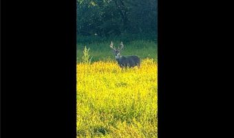 N3953-89 Bear Pen Road, Arkansaw, WI 54721