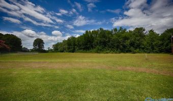 30619 Highway 110, Ardmore, TN 38449