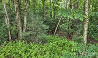Featherwood Trail, Banner Elk, NC 28604