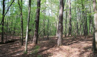 Ruffner Road 00, Barnesville, GA 30204