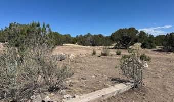 68 County Rd N8171, Concho, AZ 85924