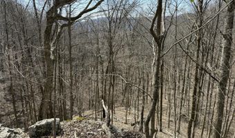 4872 Deer Run Rd, Altamont, TN 37301