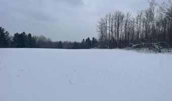 9606 Munger Rd, Afton, MI 49705