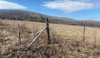 4005 Cr-2, Angelica, NY 14709