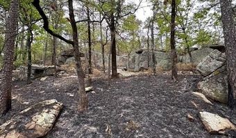 TBD Kiamichi Wilderness, Antlers, OK 74523