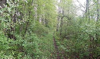 15252 27 Mile Rd, Albion, MI 49224