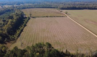 0 Bar M Farm Rd, Andalusia, AL 36421