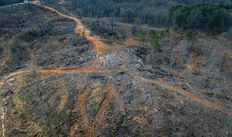 0 County Road 217 Lot 1, Blue Springs, MS 38828