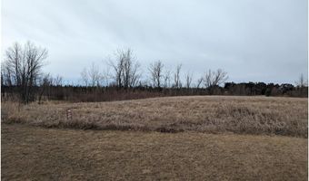 Lot 5 Geneva Golf Club Drive NE, Alexandria, MN 56308