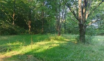 6168 Twitchell Rd, Andover, OH 44003