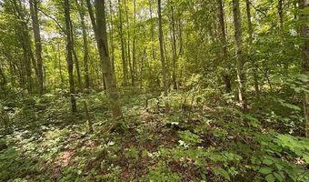 14500 Wolfe Rd, Amesville, OH 45711