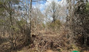 W Factory St, Amite, LA 70422