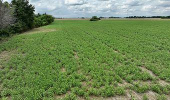 290 CR, Asbury, MO 64832