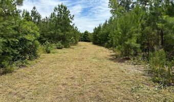 JEFFERSON DAVIS HWY, Ruther Glen, VA 22546