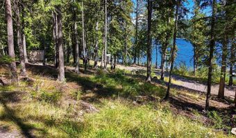 Swan Shores Lane, Bigfork, MT 59911