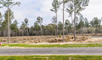 135 Beagle Chase Dr Lot 4, Appling, GA 30802