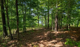 767 BENDABOUT Ln, Arley, AL 35541