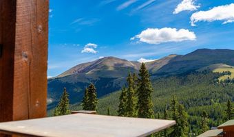 363 Carroll Ln, Breckenridge, CO 80424