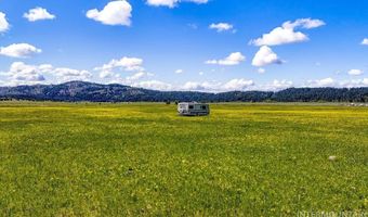 17 Gray Ln, Cascade, ID 83611