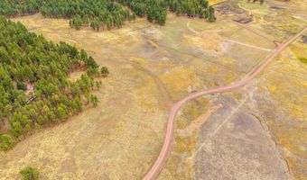 3 County Rd. N2157 Parcel 3, The Meadows Edge, Alpine, AZ 85920